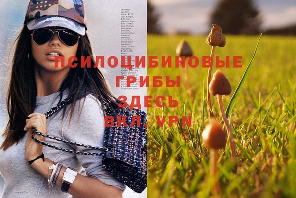 ешки Алзамай