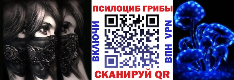 Галлюциногенные грибы GOLDEN TEACHER  даркнет сайт  Зеленокумск 