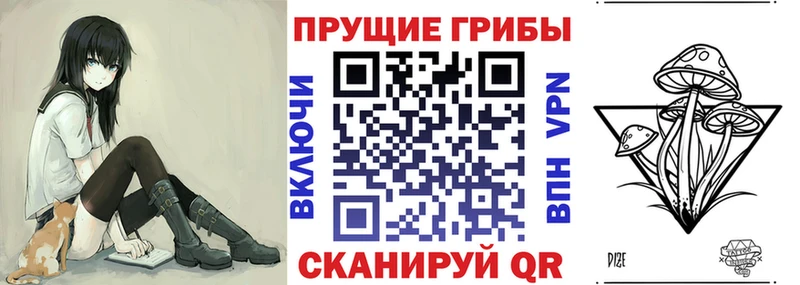 Псилоцибиновые грибы Psilocybe Зеленокумск